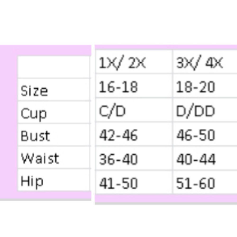 Lace Mesh Chemise - Picture 2 of 3